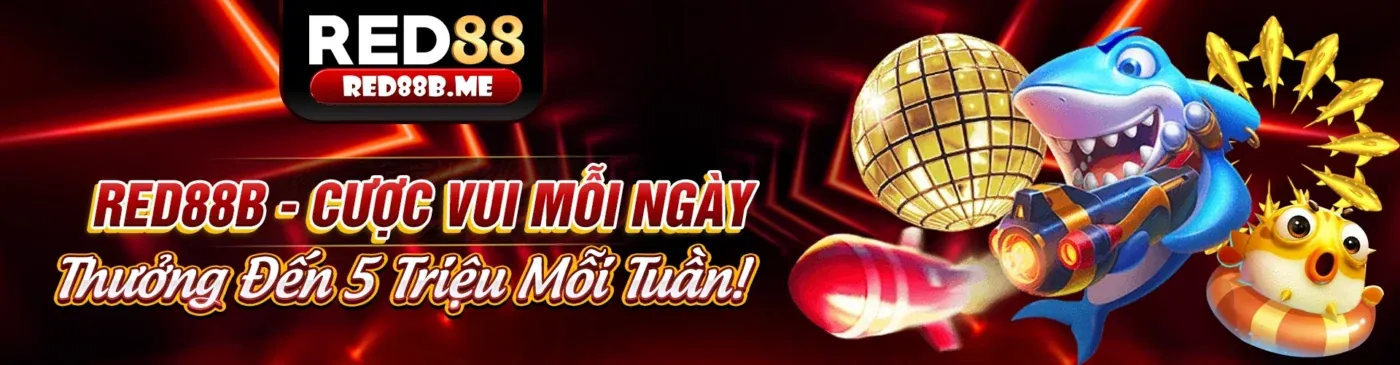 Hình ảnh giới thiệu 36win bet - Nền tảng cá cược trực tuyến uy tín